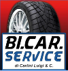 BI.CAR. SERVICE